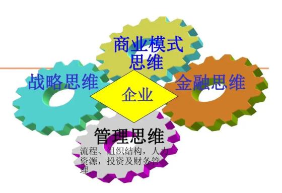 企业发展模式